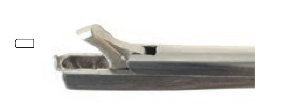 Tischler Biopsy Forcep, 10" (Derron Surgical Instruments) - Forcep Biopsy - Image 1