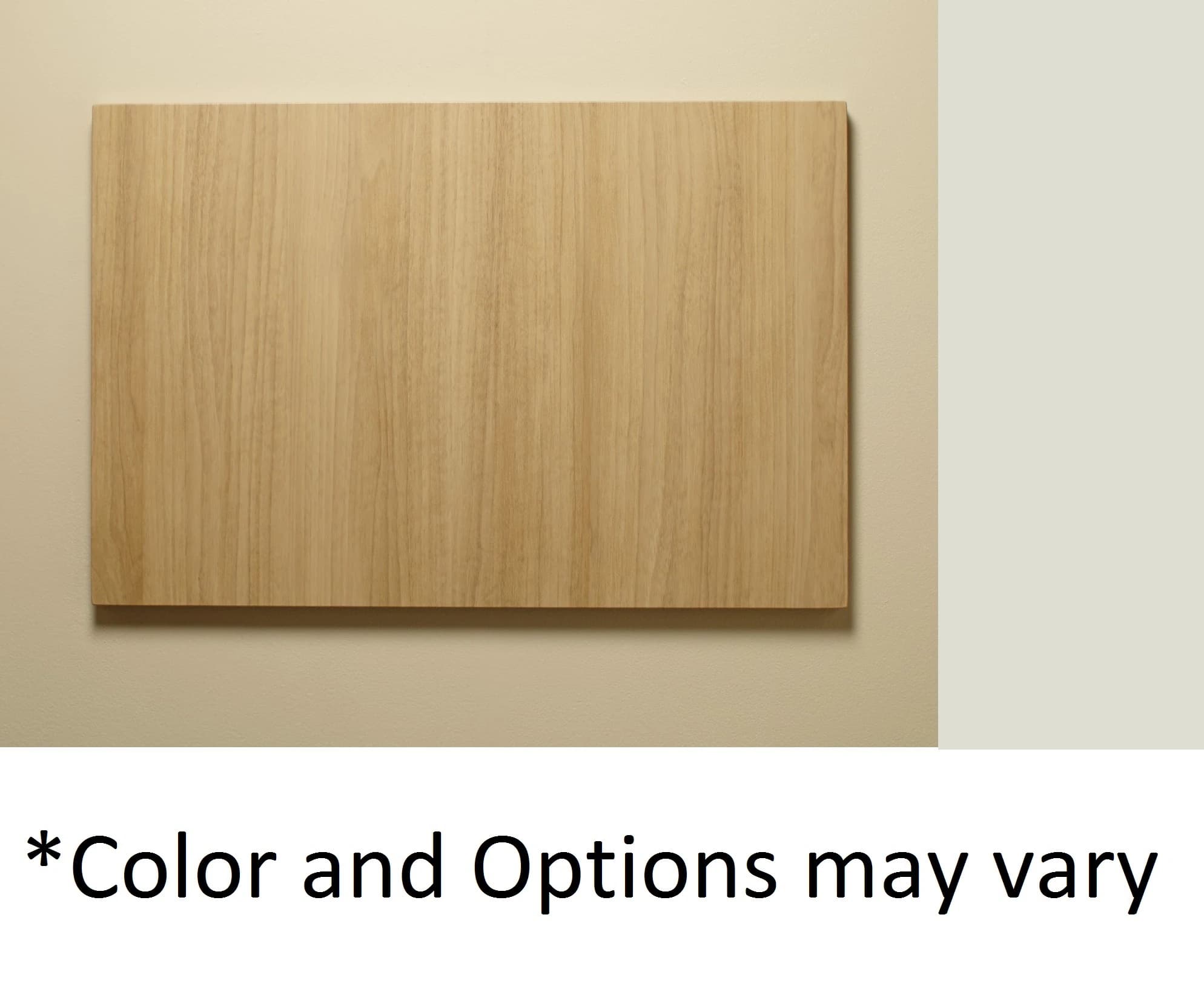 Midmark Instrument Panel, Wall-Mounted, 34" x 20" - Panel Instrument Wall 34x20" - Image 1