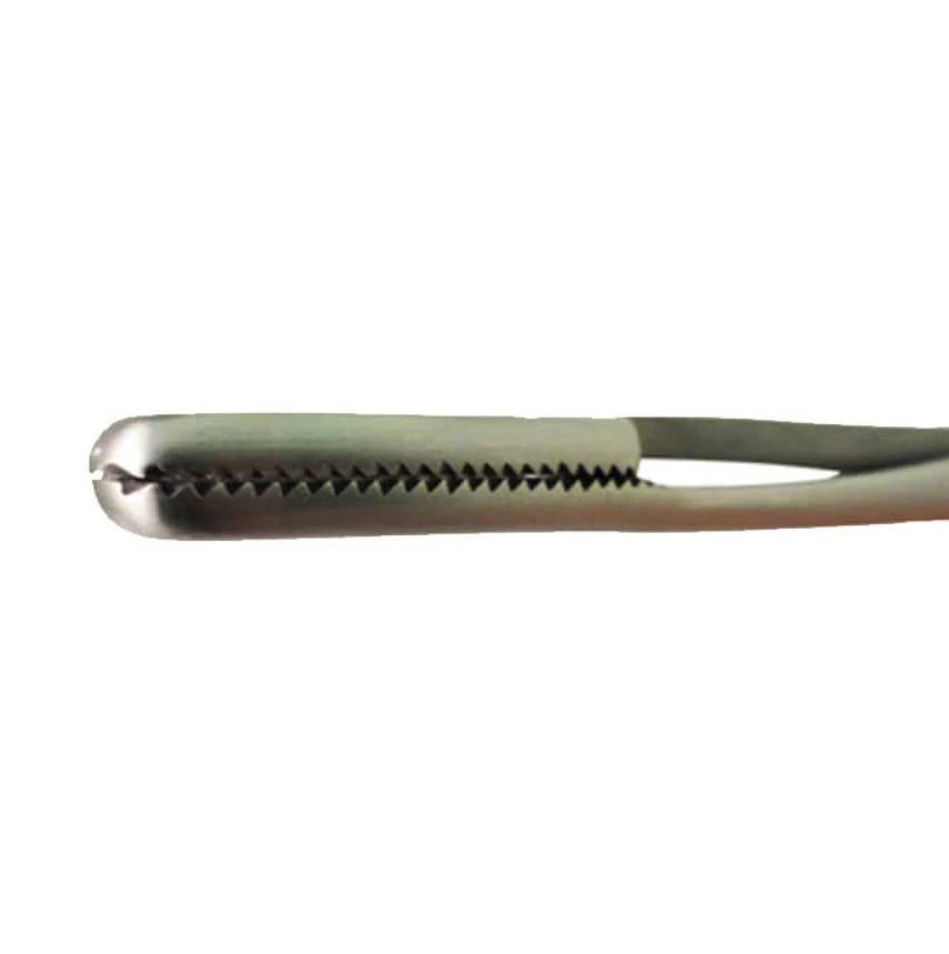 Gynex Ovum Forceps, 10" with Ratchet Handle - Forceps Ovum w/Ratchet Handle - Image 1