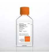 Mediatech Molecular Bio Grade Water, USP Sterile Purified, 500 mL, 6/Package - Water Molecular Bio Grade - Image 1