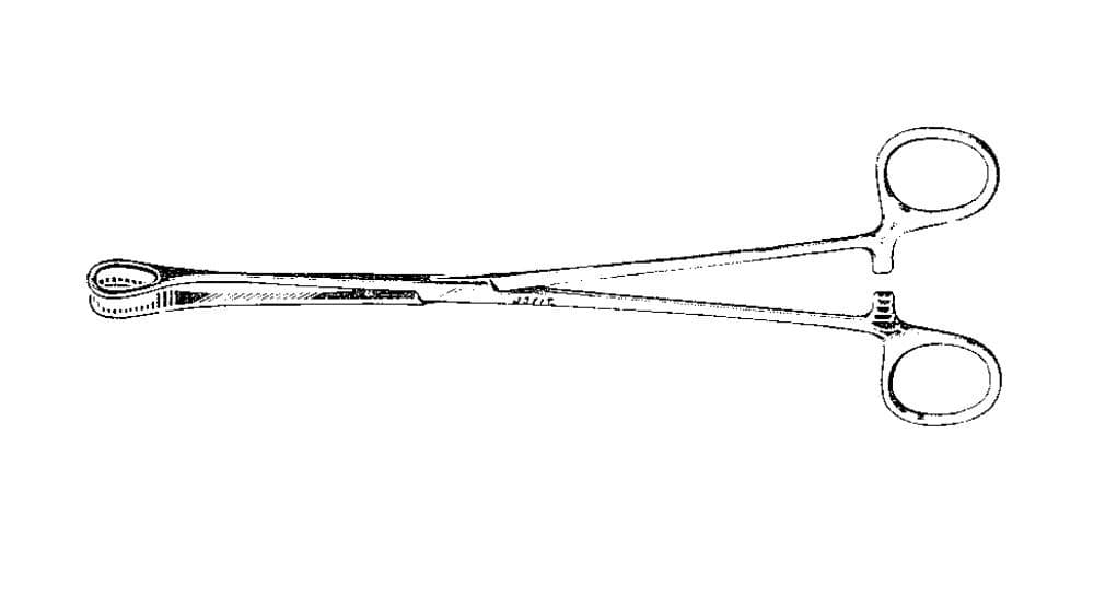 Jarit Foerster Sponge Forceps, Straight, 9-3/4" (24.8 cm), German Stainless Steel - Forcep Holding Foerster Sponge - Image 1