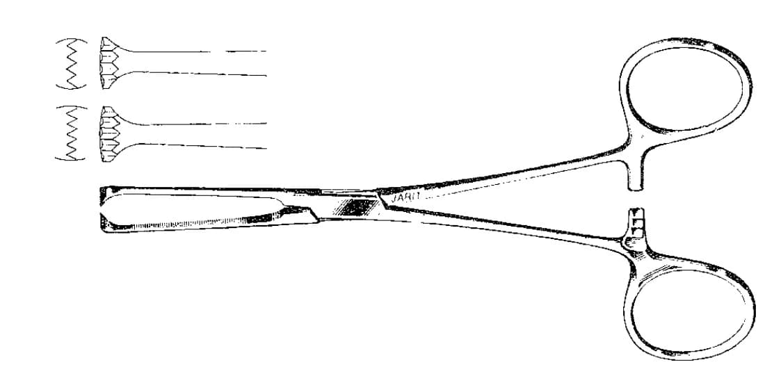 Jarit Allis Tissue Forceps, Straight, 6-1/8", 5x6 Teeth - Forcep Tissue Strght 5x6 Tth - Image 1