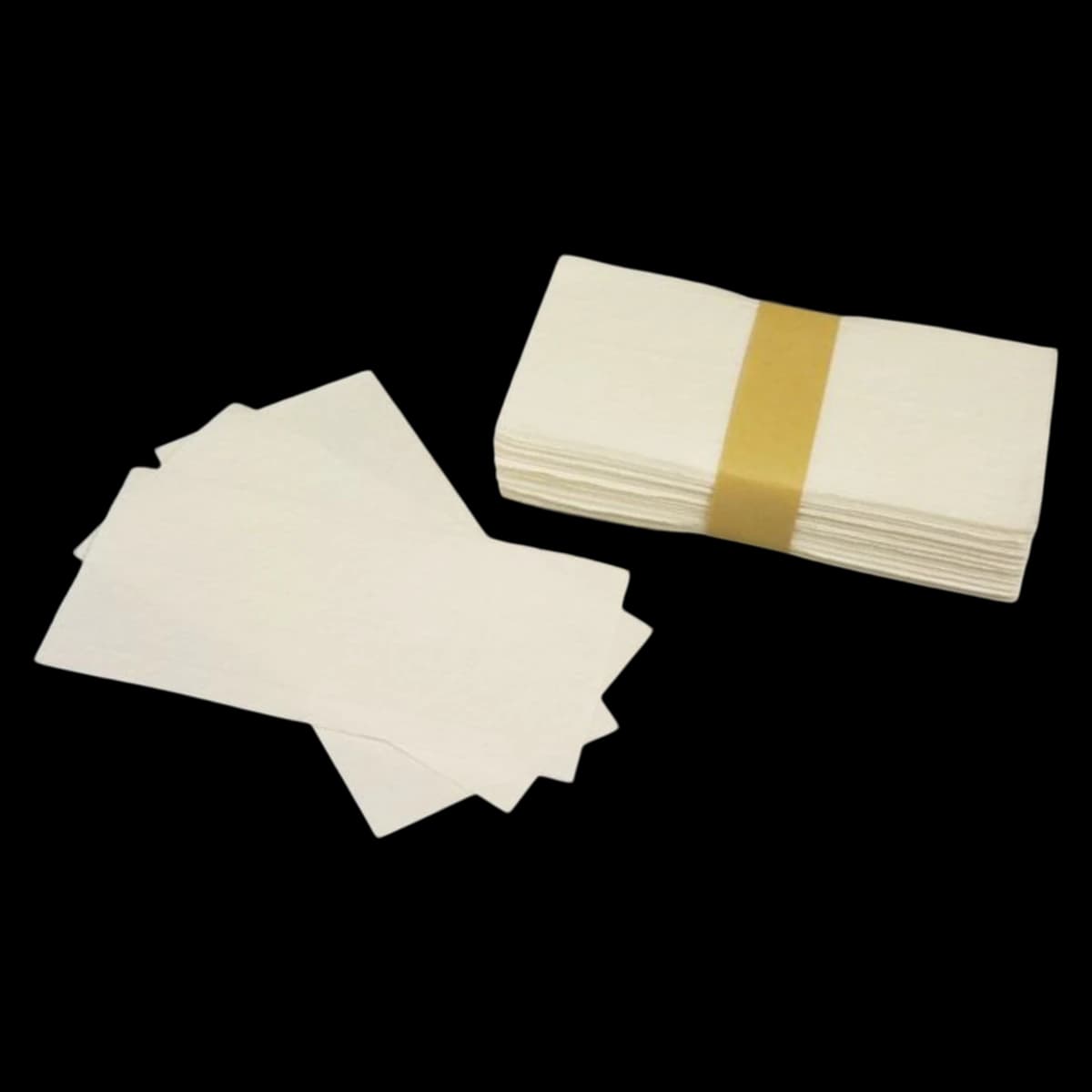Therapak Absorbent Pad, 3" x 6", 1000/Case - Pad Absorbent Therapak - Image 1