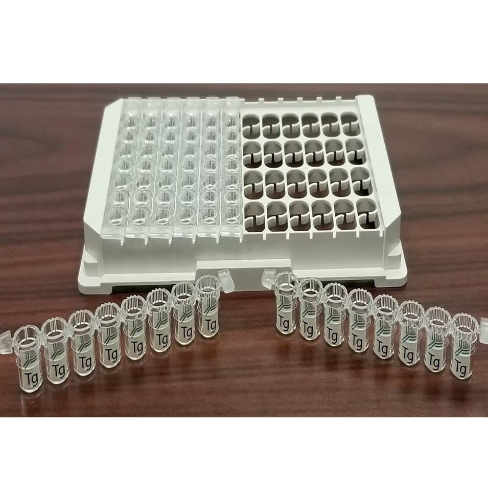 EL-Anti-Thyroglobulin ELISA Kit, 192 Tests, 1 Kit - EL-Anti-Thyroglobulin Kit - Image 1