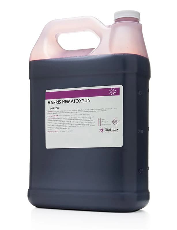 Statlab Medical Products Harris Hematoxylin Stain, 1 Gallon - Stain Harris - Image 1