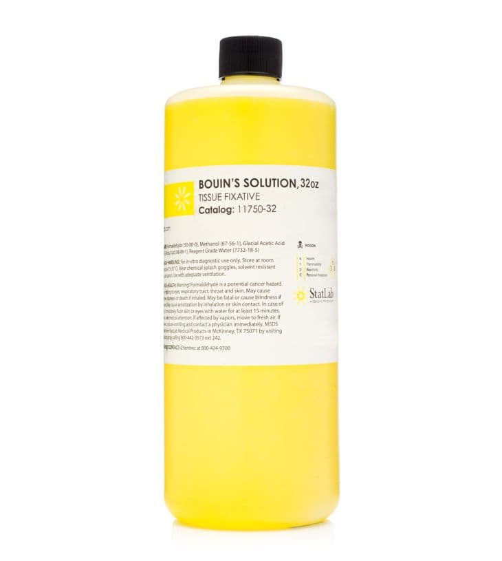 Bouin's Fixative Solution, 32 oz Bottle - Bouin Fluid - Image 1