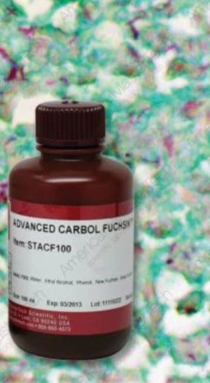 American Master Tech Carbol Fuchsin Stain Solution, 125 mL Bottle - Stain Carbol Fushin - Image 1