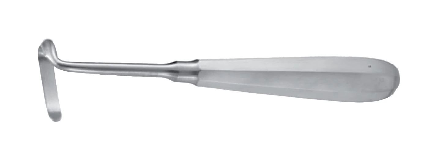 Jarit Doyen Bone Rasp, 6-1/2 Inch, Large, Left, Single - Rasp Doyen 6-1/2 Large Left - Image 1