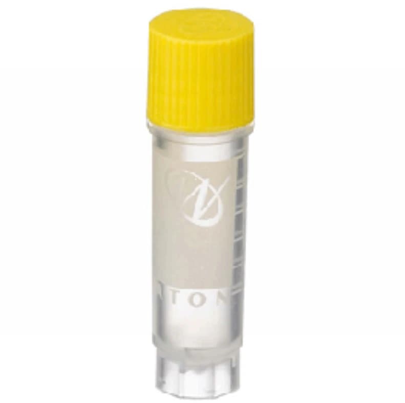 CryoELITE Cryogenic Vial, Virgin Polypropylene, 2mL, External Thread, Round Bottom, Free-Standing, Sterile, Yellow Cap, 500/Case - Vial CryoElite Sterile 2mL PP - Image 1