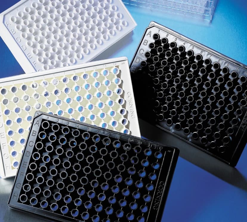 Corning 96-Well TC-Treated Microplate, Black with Clear Flat Bottom, Non-Reversible Lid, Sterile, 100/Case - Microplate Assay TC-Treated S - Image 1