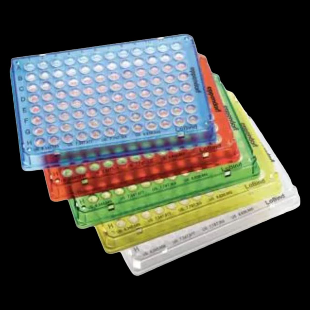Eppendorf Twin.tec PCR Plate LoBind, Skirted, Colorless, Polypropylene, PCR Clean, 25/Pk - Plate PCR LoBind PP Skirted - Image 1