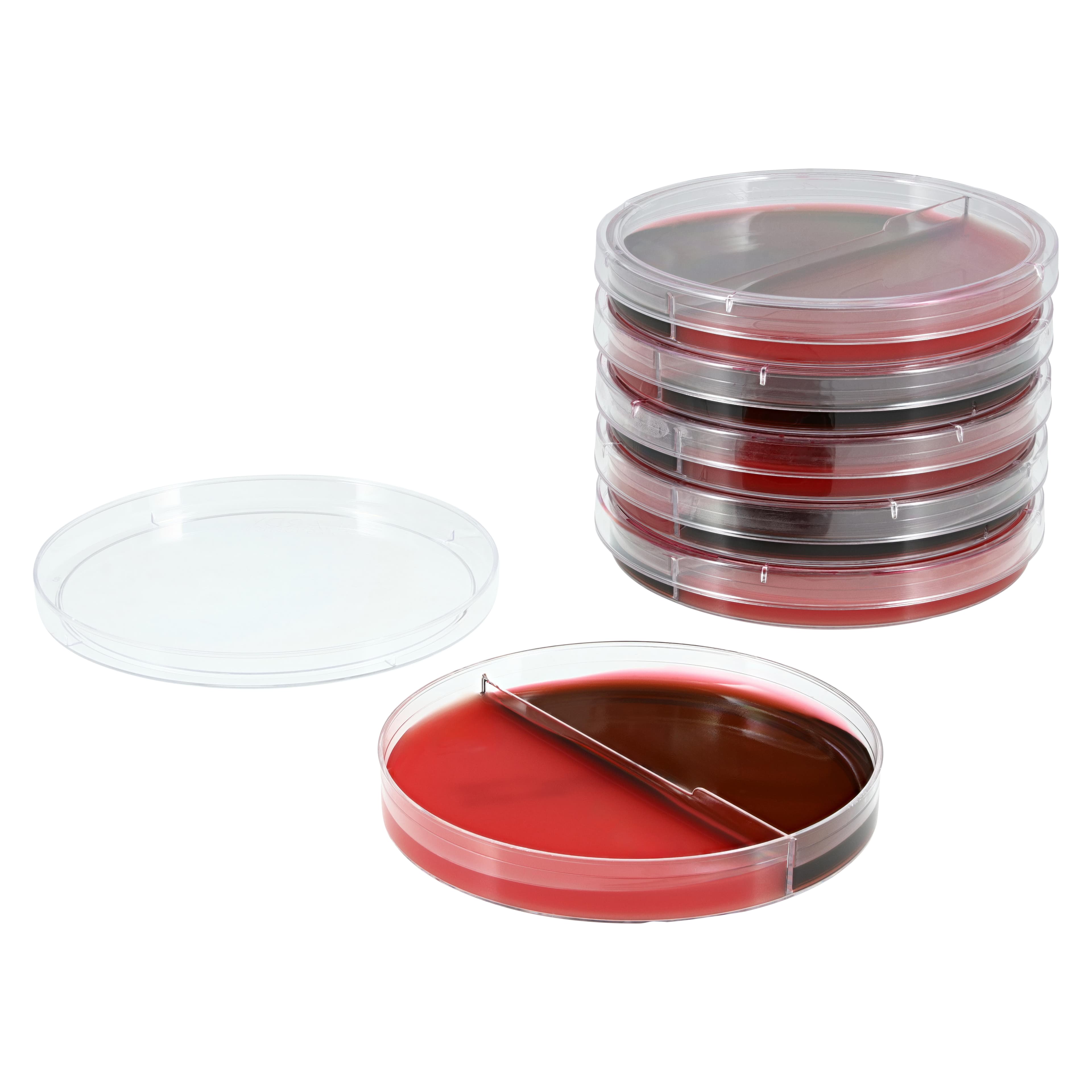 Hardy Diagnostics Blood Agar 5% / EMB Agar Bi-Plate, 15x100mm, 10/Pk thumbnail 2