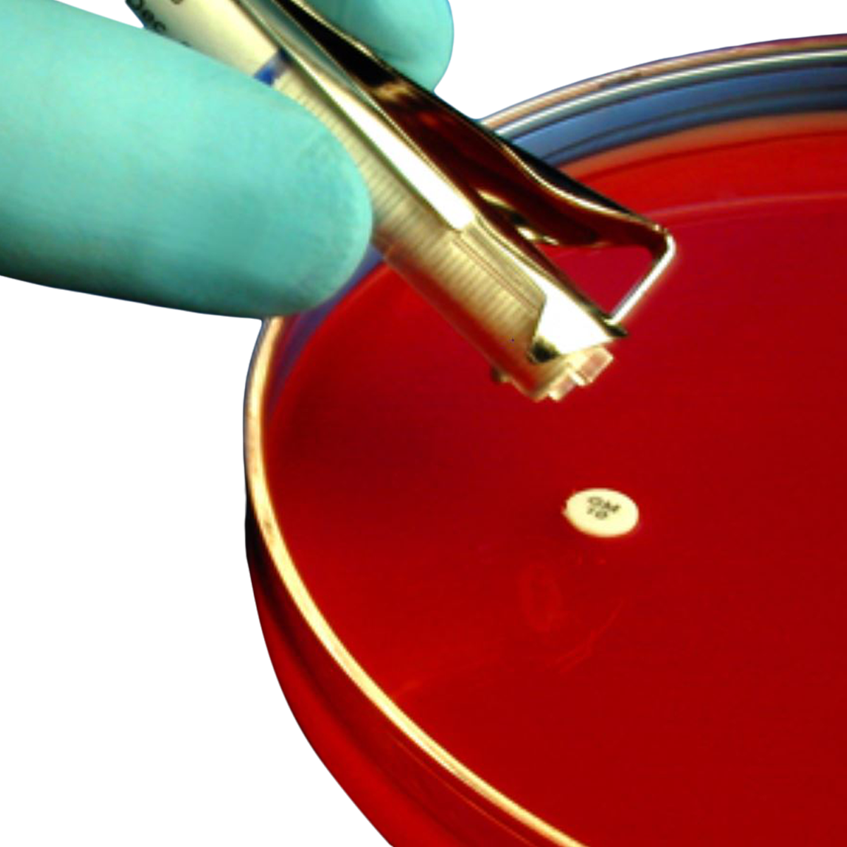 HardyDisk Ofloxacin OFX-5 Sensitivity Disk, 50 Discs per Cartridge, 1 Cartridge - Sensidisc Ofloxacin Ofx-5 - Image 1