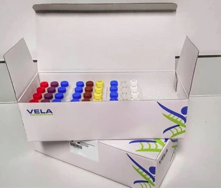 Sentosa SQ Sequencing Reagents (RUO), 8/Box - Sequencing Reagents - Image 1