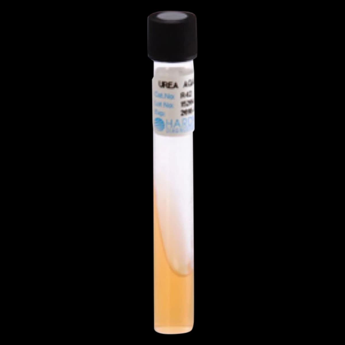Hardy Diagnostics Urea Agar Slant, 3mL, 13x100mm Tube, 20/Package - Urea Agar Slant 13x100mm Tube - Image 1