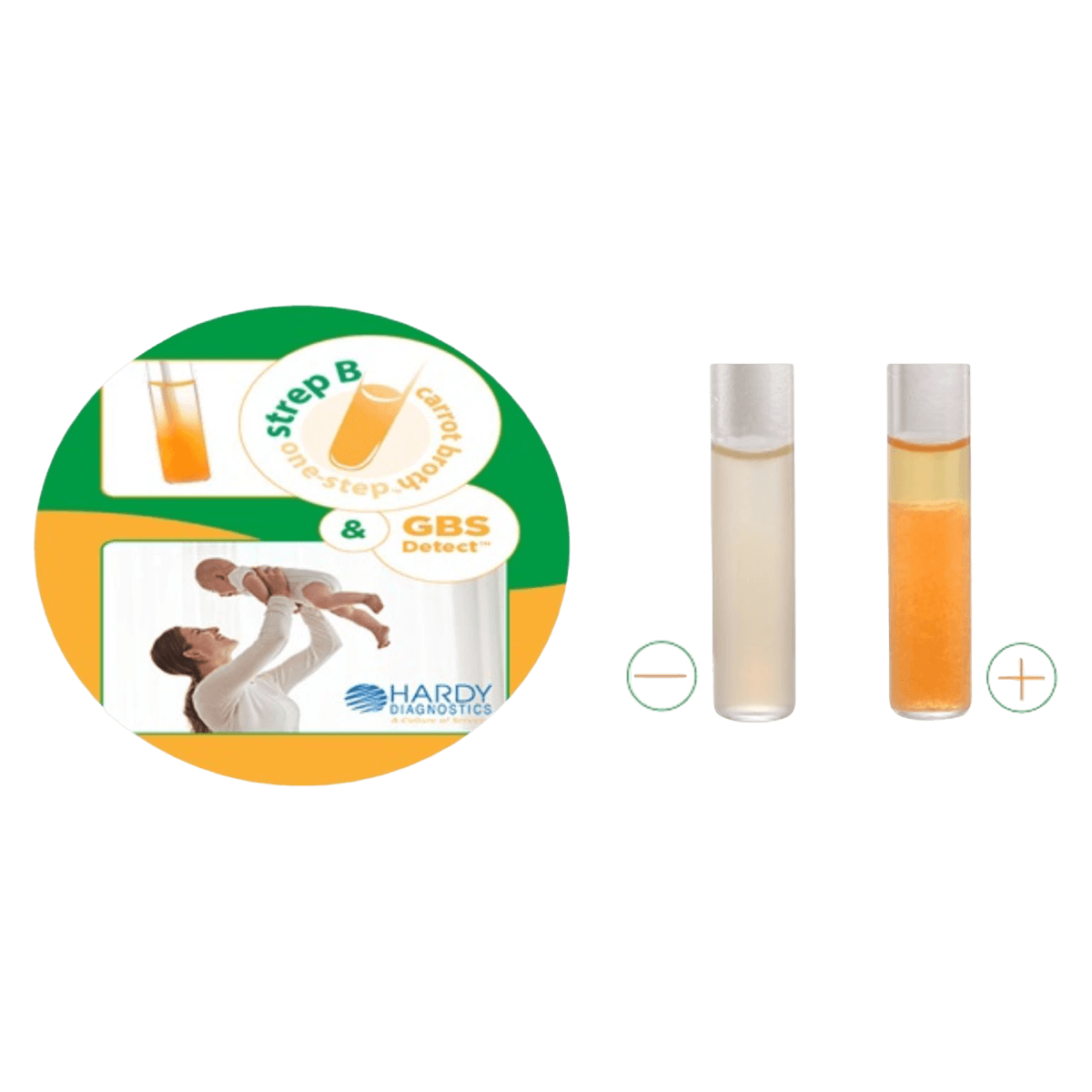 Hardy Diagnostics Carrot Broth Strep B One-Step 4mL Tube, 13x100mm, 20/Box - Carrot Brth StrpB 1Step 4ml Tb - Image 1