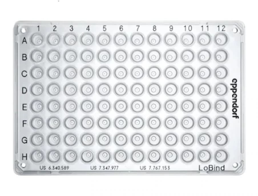 Eppendorf Twin.tec PCR Plate 96, Skirted, Polypropylene, 150 µL, Clear, 25/Pk - Plate PCR Twin Tech 96 - Image 1