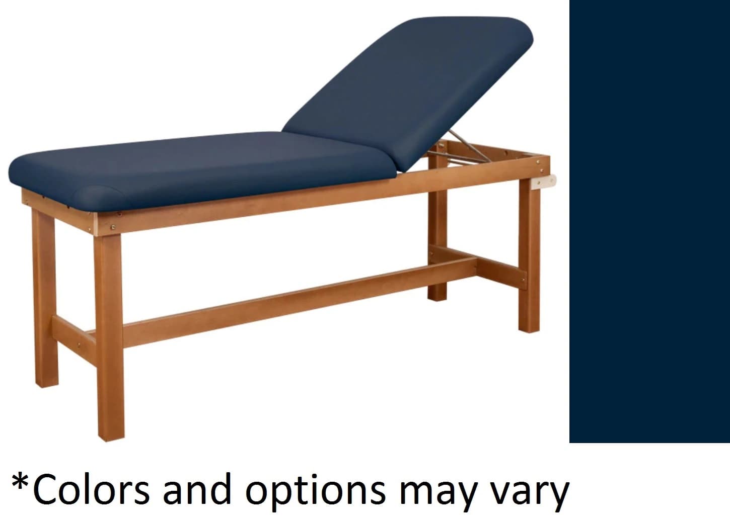 Oakworks Powerline Treatment Table, Sapphire, Gray Backrest, 500 lb Capacity - Table Tx Gray Sapphir Backrst - Image 1