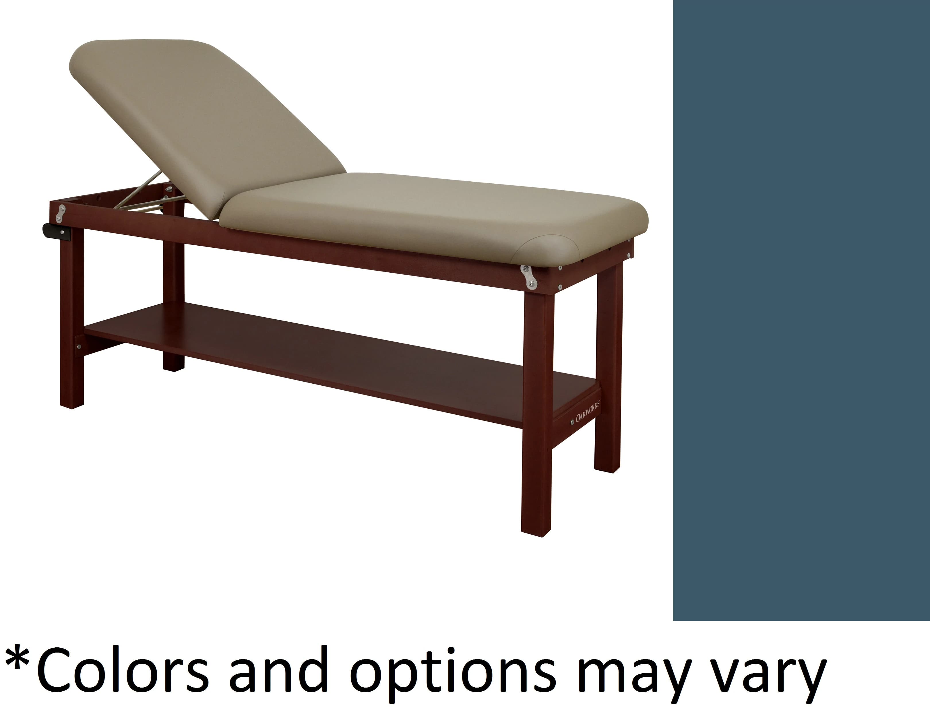 Oakworks Powerline Treatment Table Heron with Shelf and Backrest, 500 lb Capacity - Table Tx Shlf Bkrst Heron - Image 1
