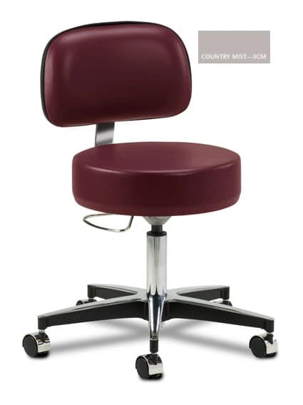 Clinton Industries Exam Stool with Back, Country Mist - Stool Exam w/Back Country Mist - Image 1