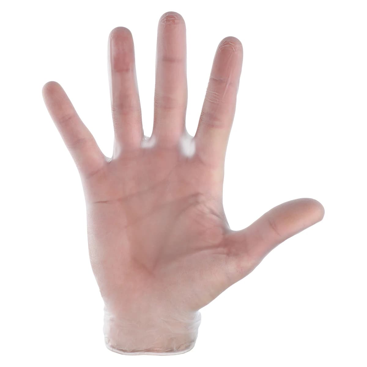 Microflex Derma Free PF Vinyl Exam Gloves, Large, Clear, Non-Sterile, 100/Box thumbnail 3