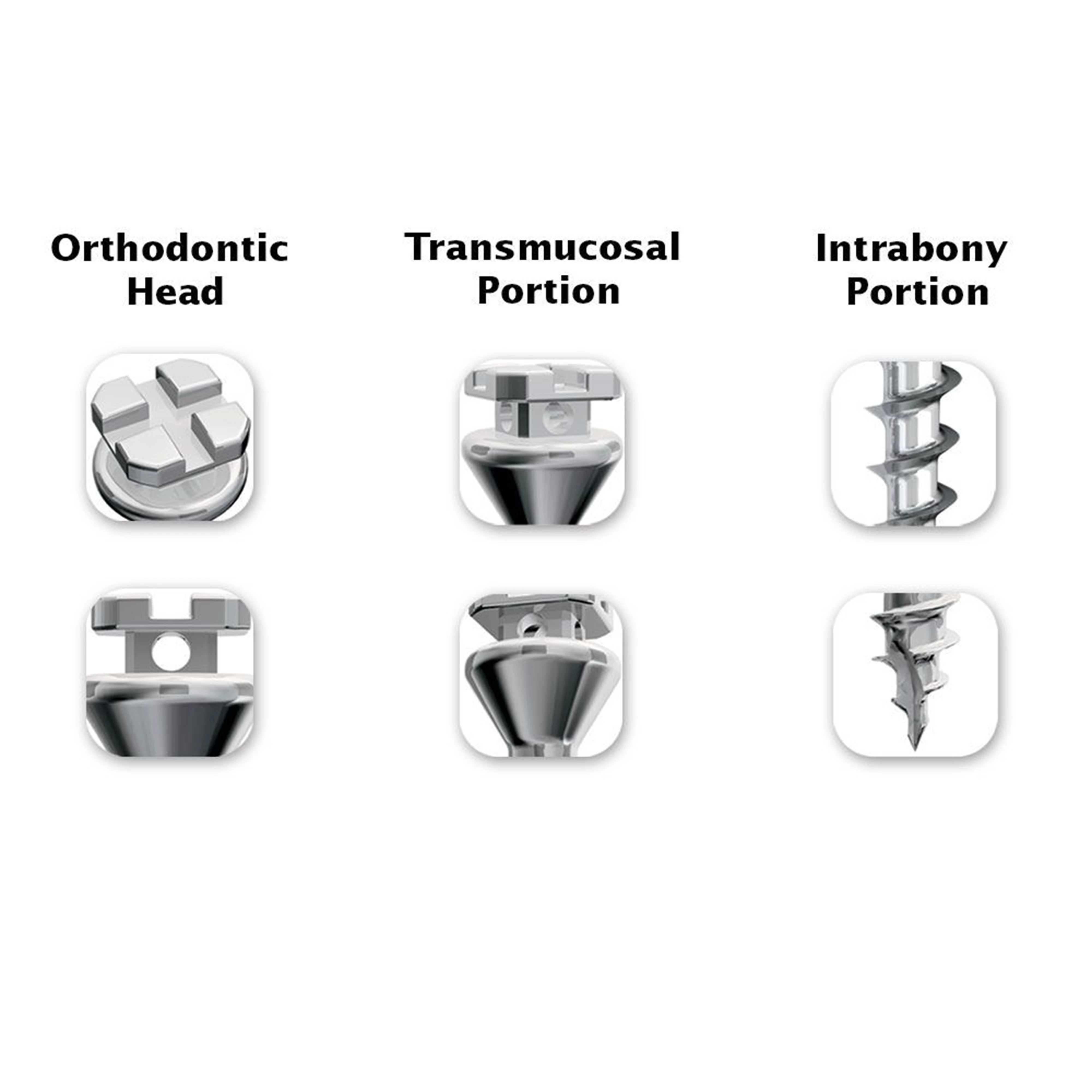 Ortho Technology Spiderscrews Short Neck, 7 mm - Spiderscrews Short Neck - Image 1