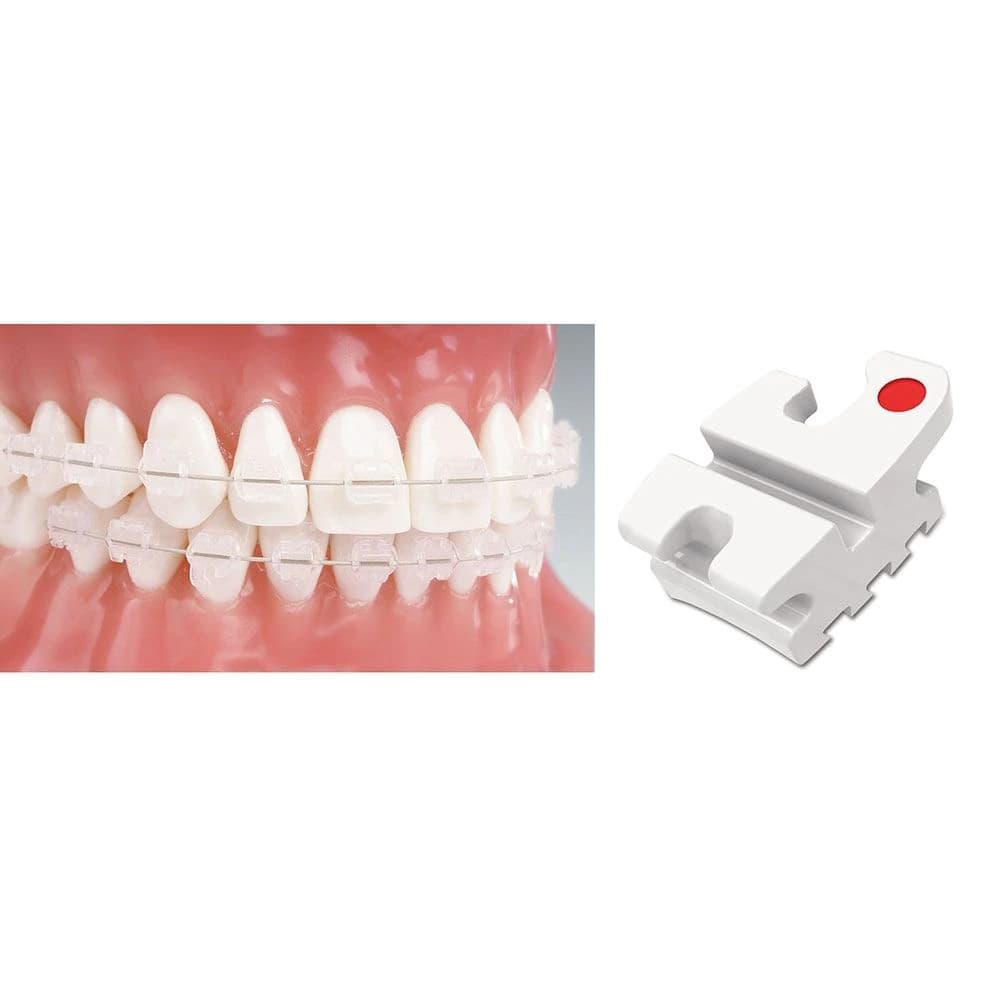Reflections L5 Roth Ceramic Bracket, .022 Slot, With Hook, 10/Pk - Reflections L5 Roth - Image 1