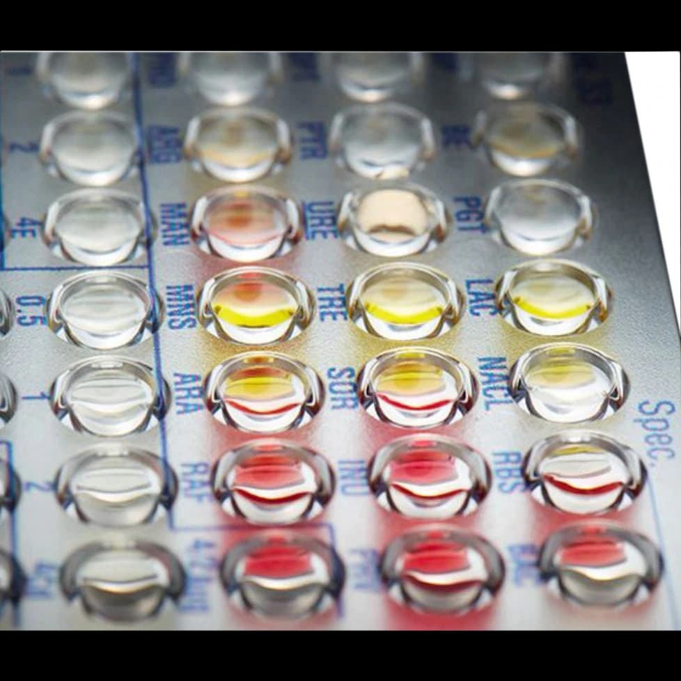 Beckman Coulter MicroScan Negative Urine Combo 89 Panel, 20/Box - Panel Negative Urine Combo 89 - Image 1