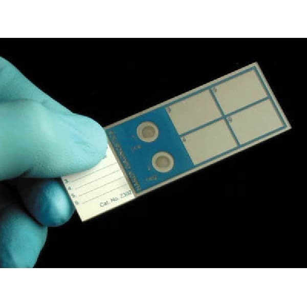 Hardy Diagnostics Q-Slide Gram Control Slide, Pre-Inoculated with E. coli and Staphylococcus, 5/Box - Slide Control Gram Q-Slide - Image 1
