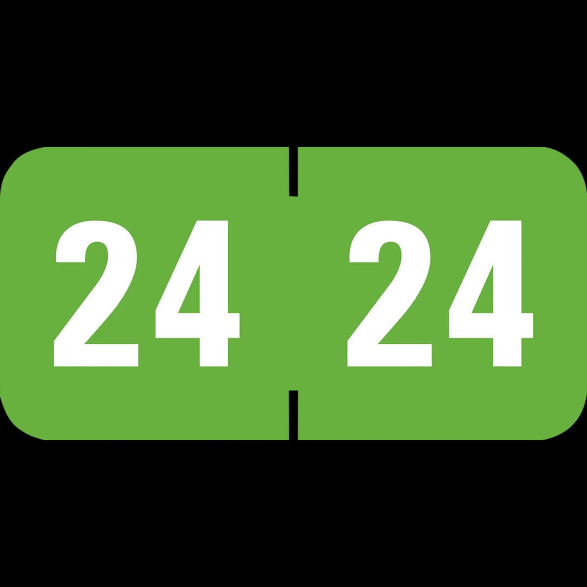 Arden Label Profile Match 2024 Tab Large Label, End Tab, Light Green, 500/Roll - Label 2024 Tab Lge LtGreen ET - Image 1
