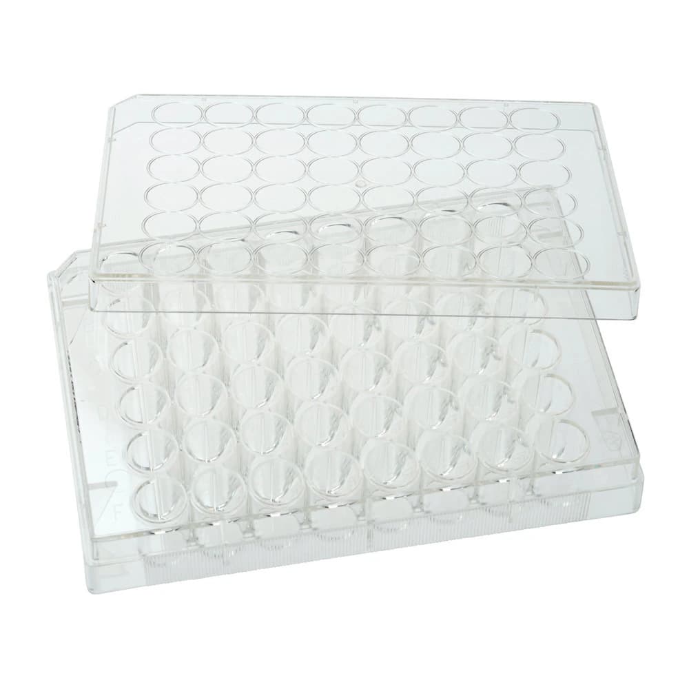 Celltreat 48-Well Tissue Culture Plate with Lid, Sterile, Polystyrene, Flat Bottom, Clear, 100/Case - TC Plate W/Lid 48 Well Sterile - Image 1