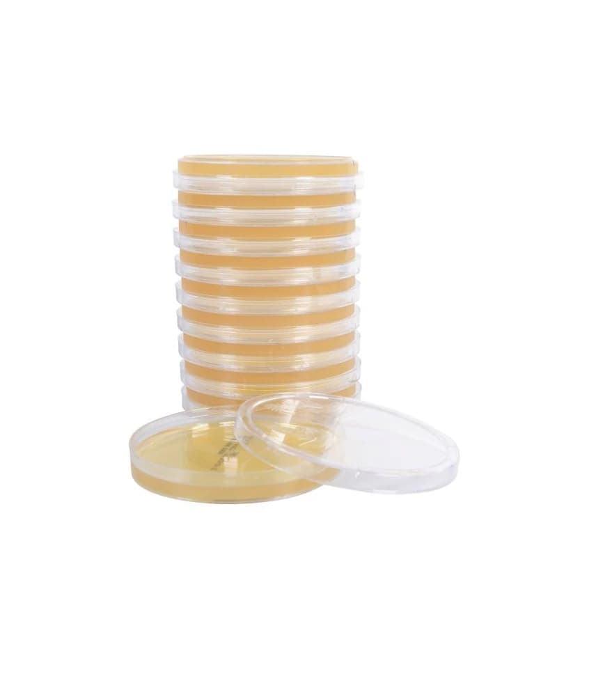 Hardy Diagnostics Sabouraud Dextrose Agar (Emmons) Culture Media, 15x100mm Plate Deep Fill, 10/Package - Sabdex Agar Emmons - Image 1
