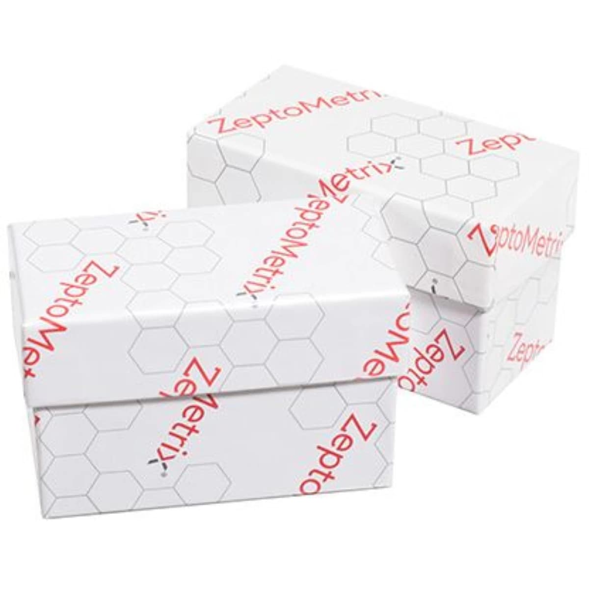 NATtrol CT/NG/TV Positive/Negative Control Kit, 1.0 mL, 4 per Case, Zeptometrix - NATtrol CT/NG/TV Controls - Image 1