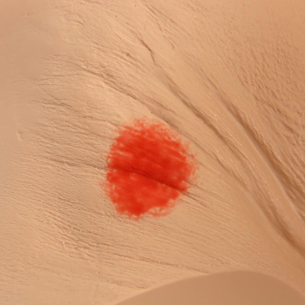 Vata Seymour II Decubitus Wound Care Simulator, Geriatric - Simulator Wound Care Decubitus - Image 1