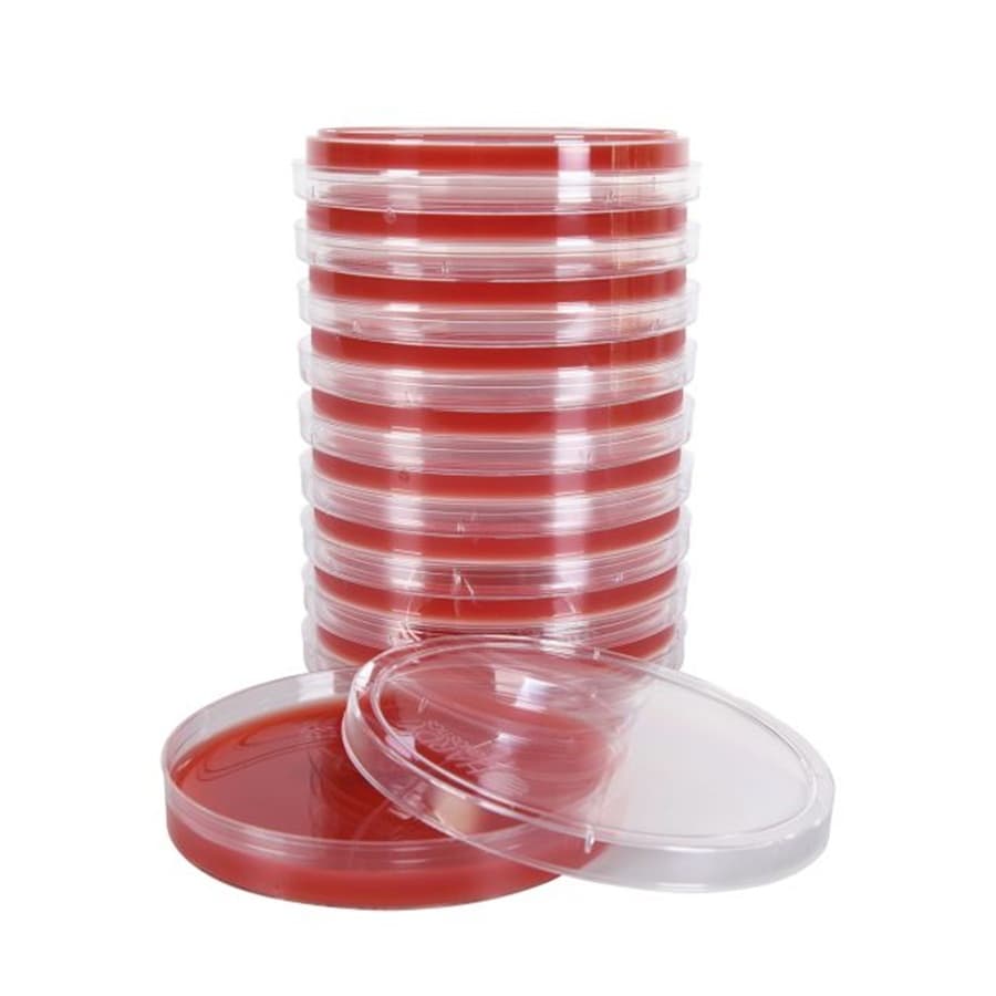 Hardy Diagnostics Blood Agar 5% EH Plates, 15x100mm, 10/Pk - Blood Agar 5% EH Plates - Image 1