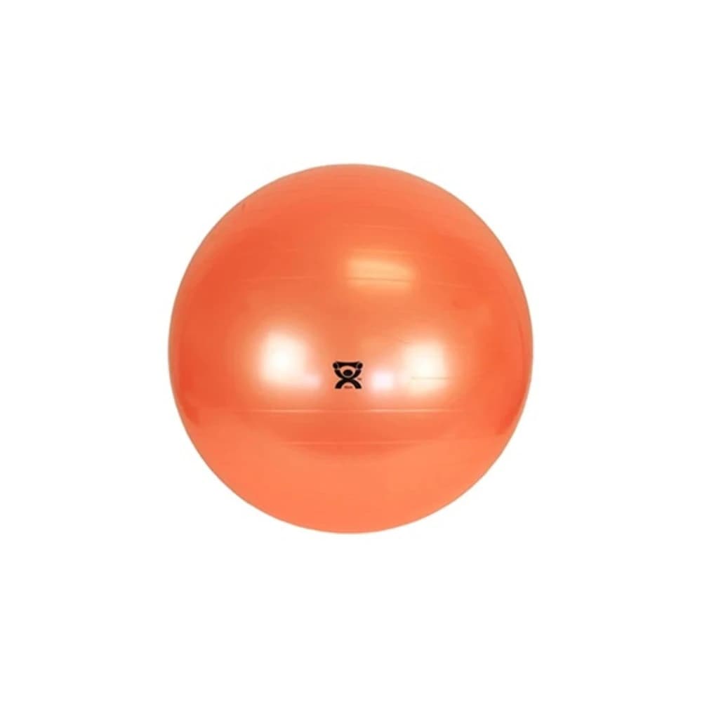 Cando Exercise Ball, 55cm, Performance Health Supply - Cando Exercise Ball Package - Image 1