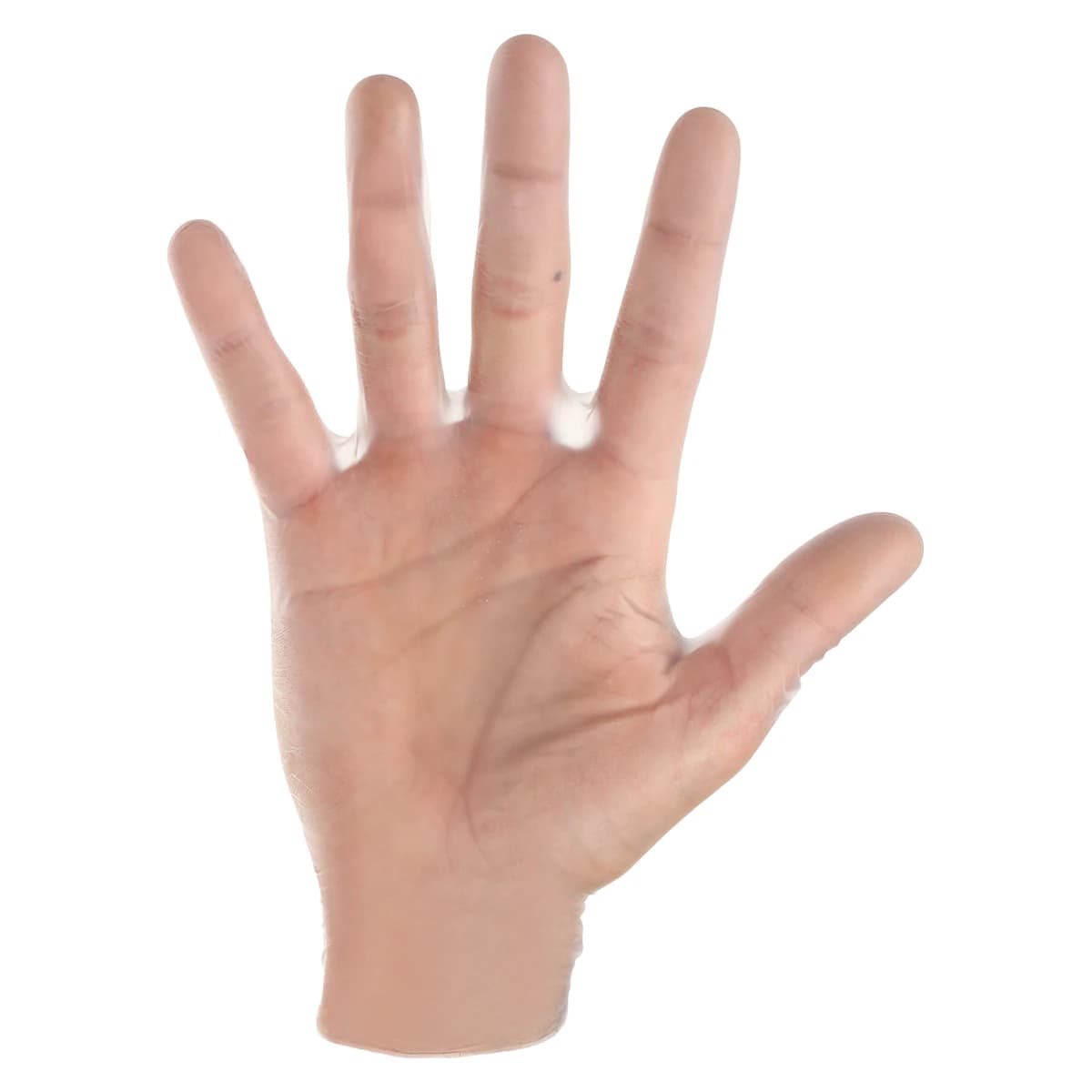VitalGard® Vinyl Exam Gloves, Latex Free, Powder Free, Non-Sterile, Clear, Medium, 100/Box thumbnail 3