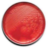 BBL Prepared Media CDC Anaerobe 5% Sheep Blood Agar Plate, 100/Box - CDC Anaerobe Blood Agar - Image 1