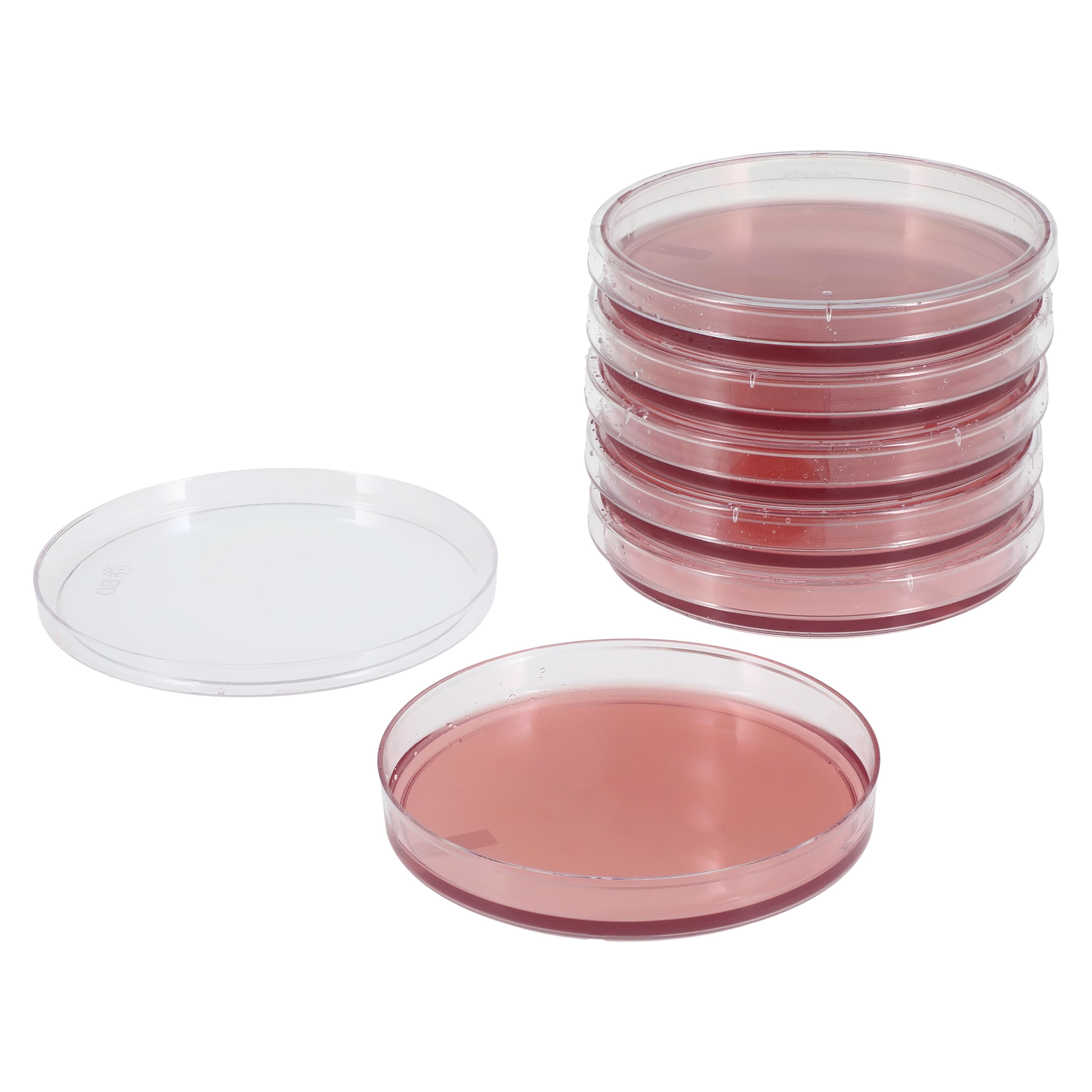 BBL MacConkey II Agar Plate, Prepared Media, 100/Box thumbnail 2