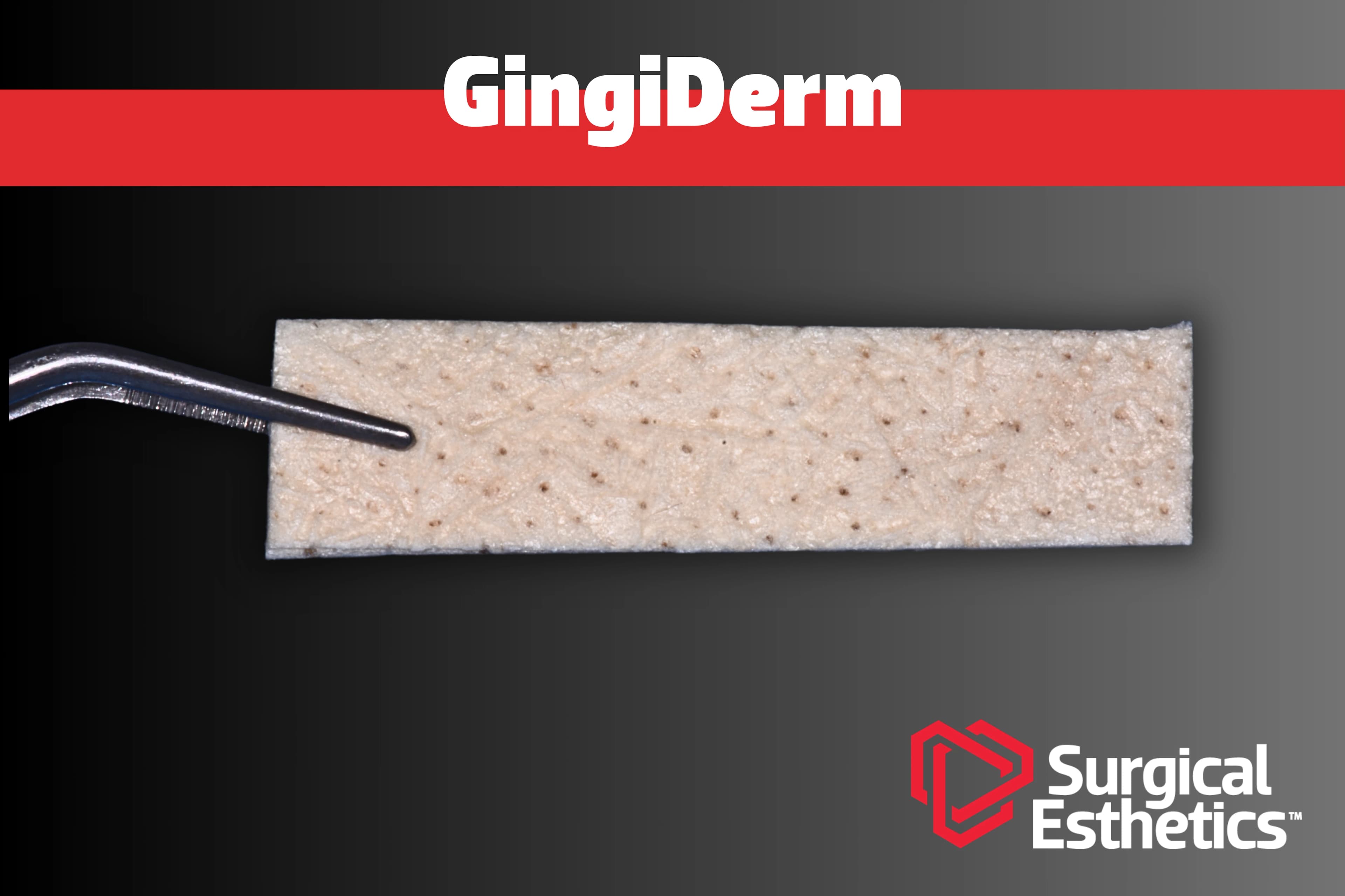 GingiDerm™ Acellular Dermal Matrix Allograft, 10x40mm, Each - GingiDerm™ Acellular Dermis 10x40mm - Image 1