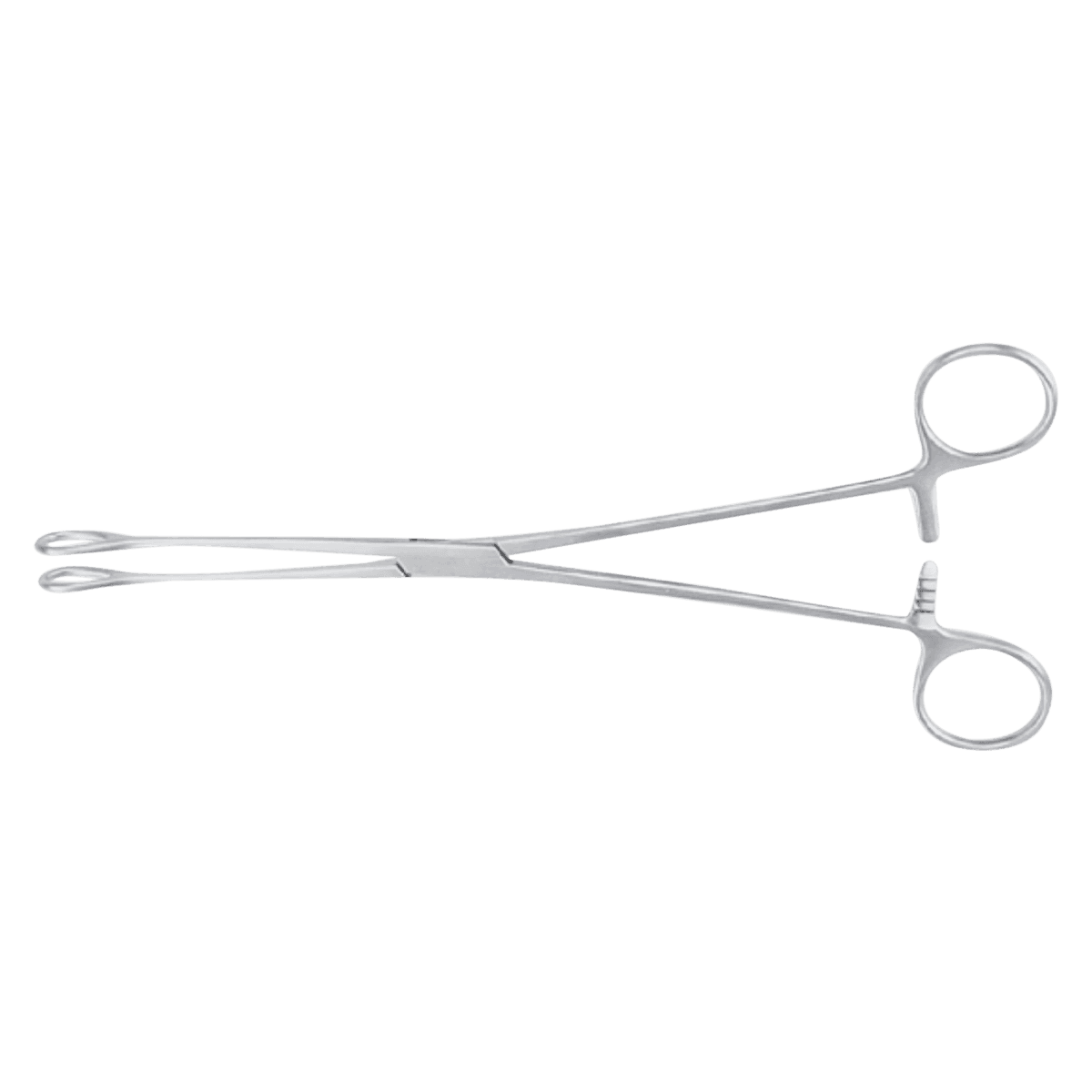 Miltex Meister-Hand Foerster Sponge Forceps, Straight, 9-1/2", Stainless Steel, Autoclavable - Forcep Sponge MH Foerster ST - Image 1
