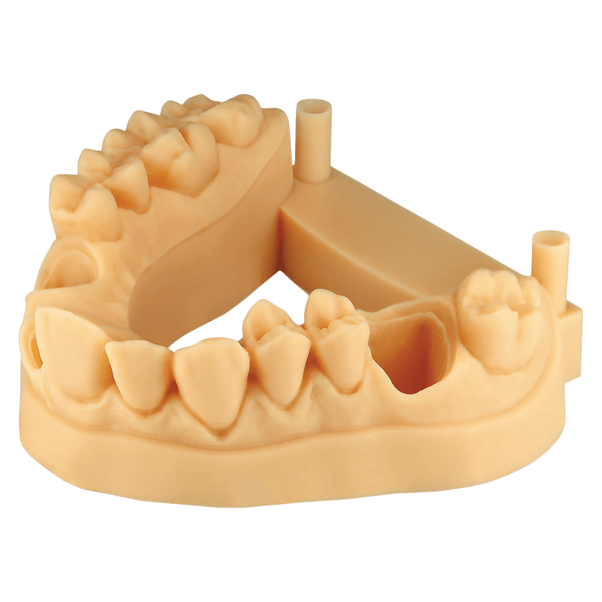 E-Denstone Ivory 3D Print Resin Model, 1 Kg Bottle - E-Denstone Ivory - Image 1