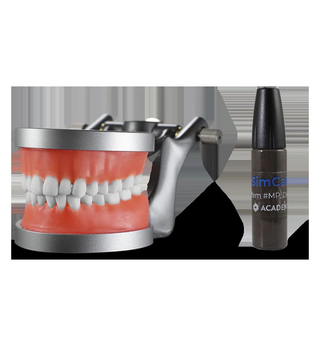 ModuPRO DH Baseline Hygiene Model with M-Series Teeth and Adjustable Articulator, 01KEZKNP3EYCK6TAJ6CS9N4JQS - ModuPRO DH Baseline - Image 1