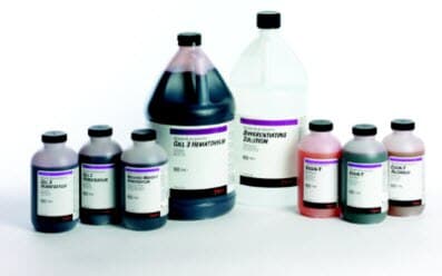 Richard-Allan Scientific Gill 1 Hematoxylin Stain, 1 gal - Gill 1 Hematoxylin Stain - Image 1