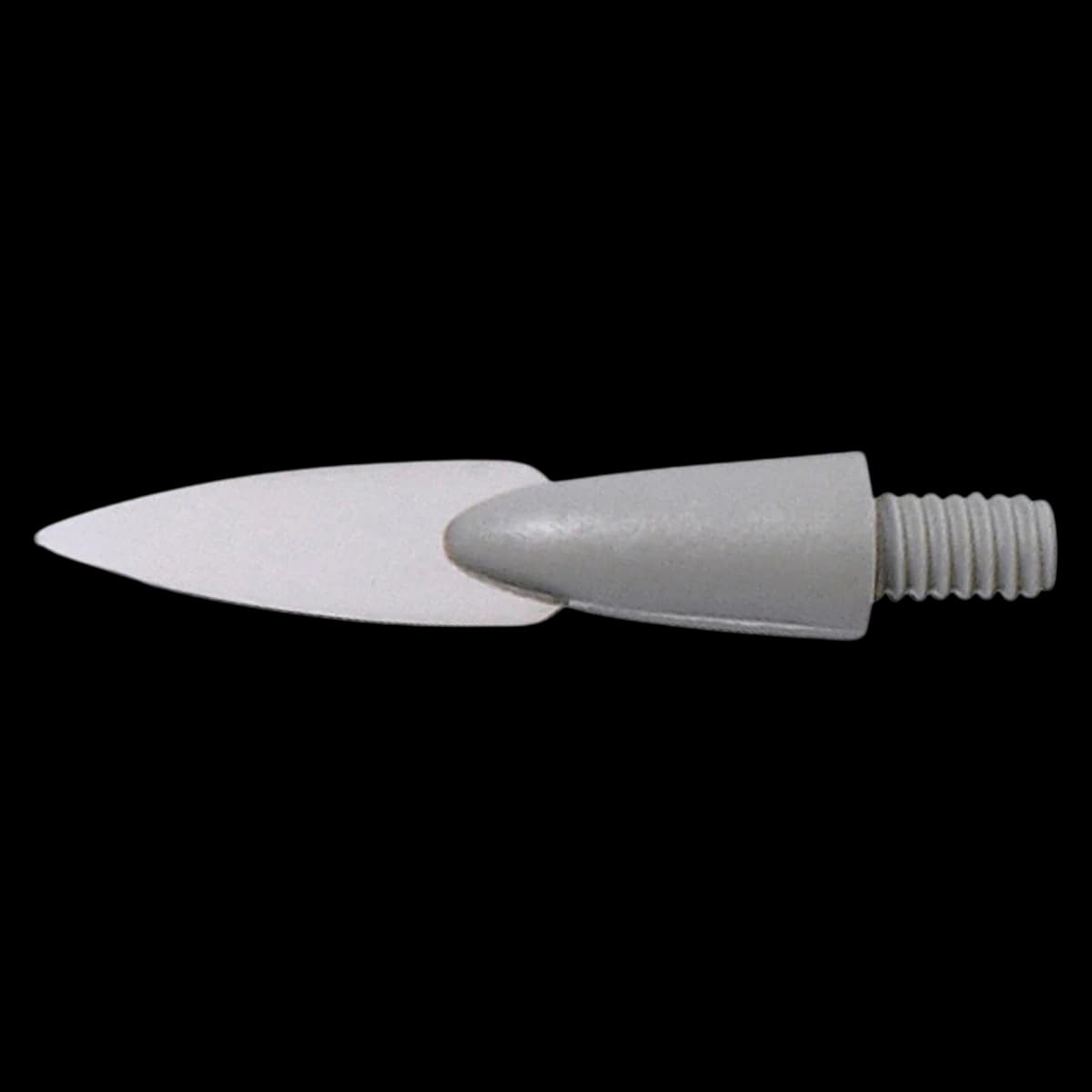Renfert #2 Flexible Blade Tip, 0.2 mm, Pack of 2 - #2 Flexible Blade Tip Pack of 2 - Image 1