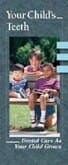 Brochure Your Child's Teeth, 6 Panels, English, 50/Box - Brochure Your Child's Teeth - Image 1