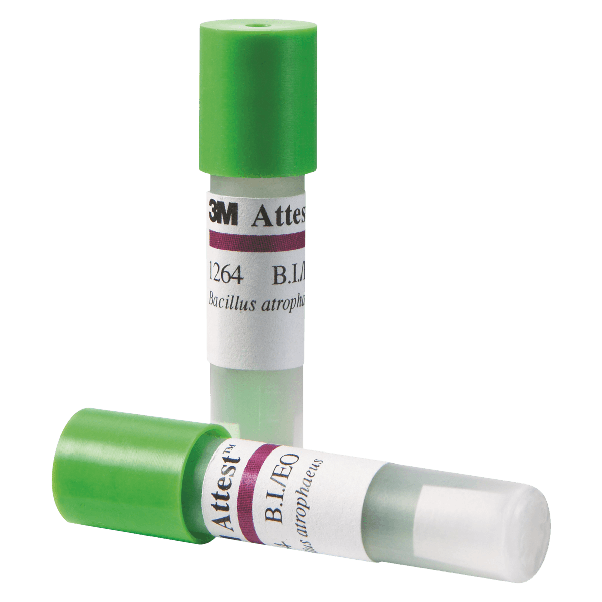 3M Attest Ethylene Oxide Sterilization Biological Indicator, 4/Case - Indicators Biological - Image 1