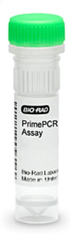 Multiqual Assay Level 3 Control, 3mL, 12/Box, 3160639 - Multiqual Assay Lev 3 3mL - Image 1