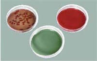 Troy Biologicals Brain Heart Infusion Agar Culture Slants, 10/Package - Brain Heart Infus Slants - Image 1