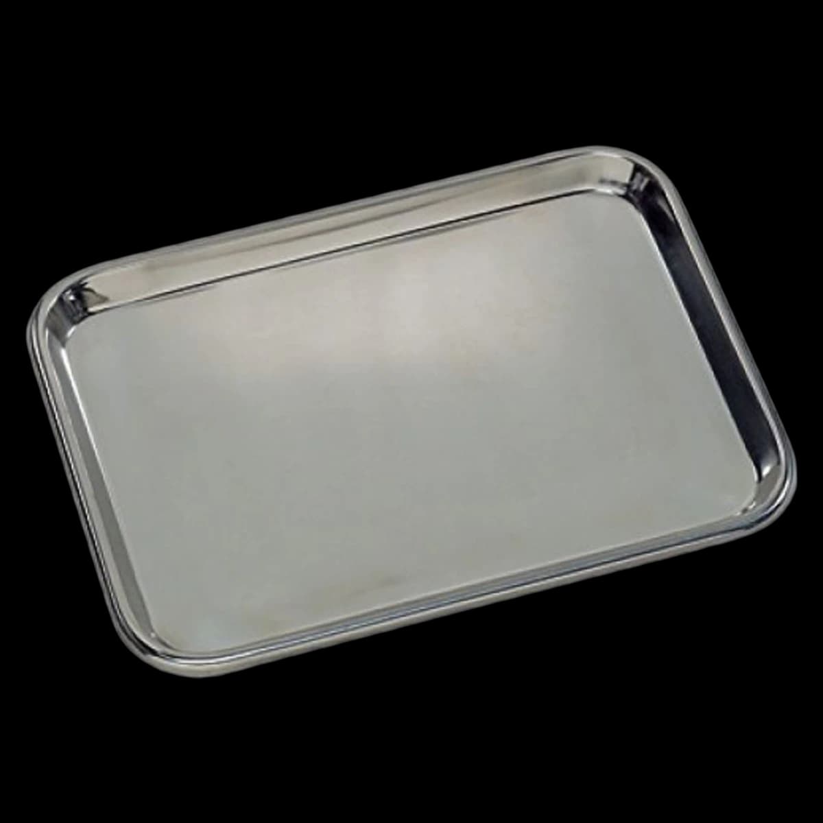 Medegen Stainless Steel Instrument Tray, 17-1/8" x 11" - Tray Instrument SS - Image 1